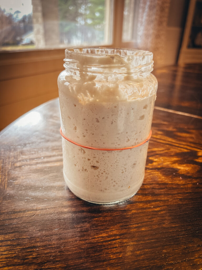 How to Create a Sourdough Starter    (and Why Your Gut Will Thank You!)