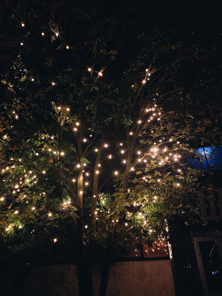 A beautifully decorated tree glowing with white string lights in the dark evening.
