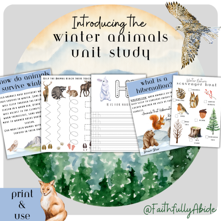 Printable Arctic Winter Animals Worksheets for Kids