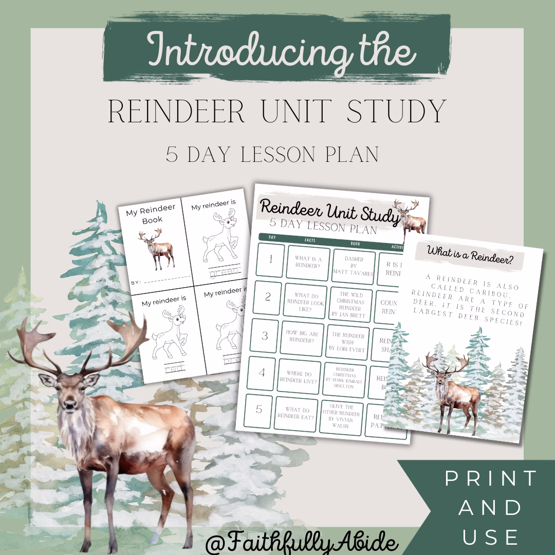 Fun Printable Holiday Reindeer Activities